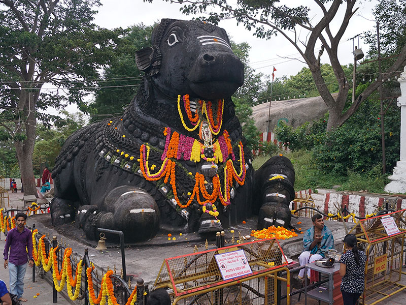 Nandi Statue